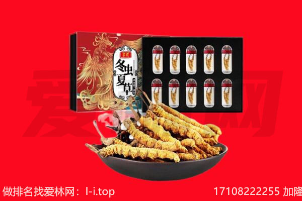 武功县回收虫草.jpg